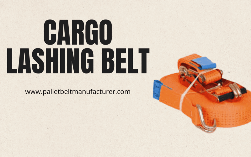 best cargo lashing belt supplier in India